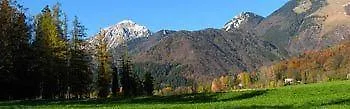 فندق Hotel Alma & Castle Hrib 3*