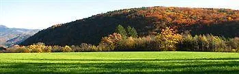 Hotel Alma & Castle Hrib بريدفور