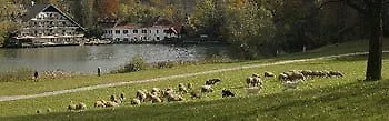 Hotel Alma & Castle Hrib Hotel 3*