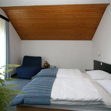 فندق Hotel Alma & Castle Hrib 3*
