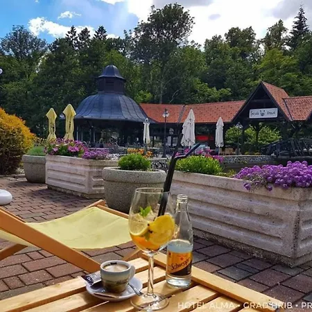 فندق Hotel Alma & Castle Hrib بريدفور